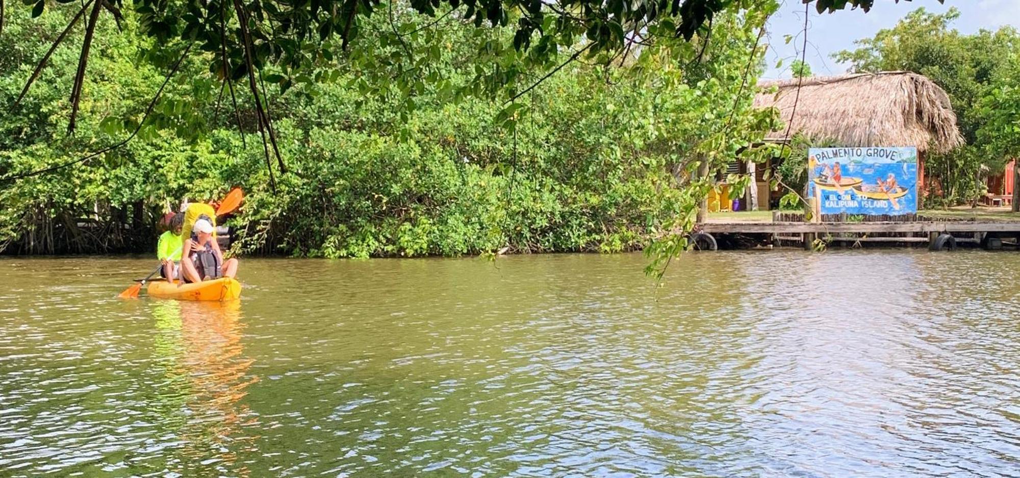 Palmento Grove Garifuna Eco-Cultural & Healing Institute Hopkins Extérieur photo