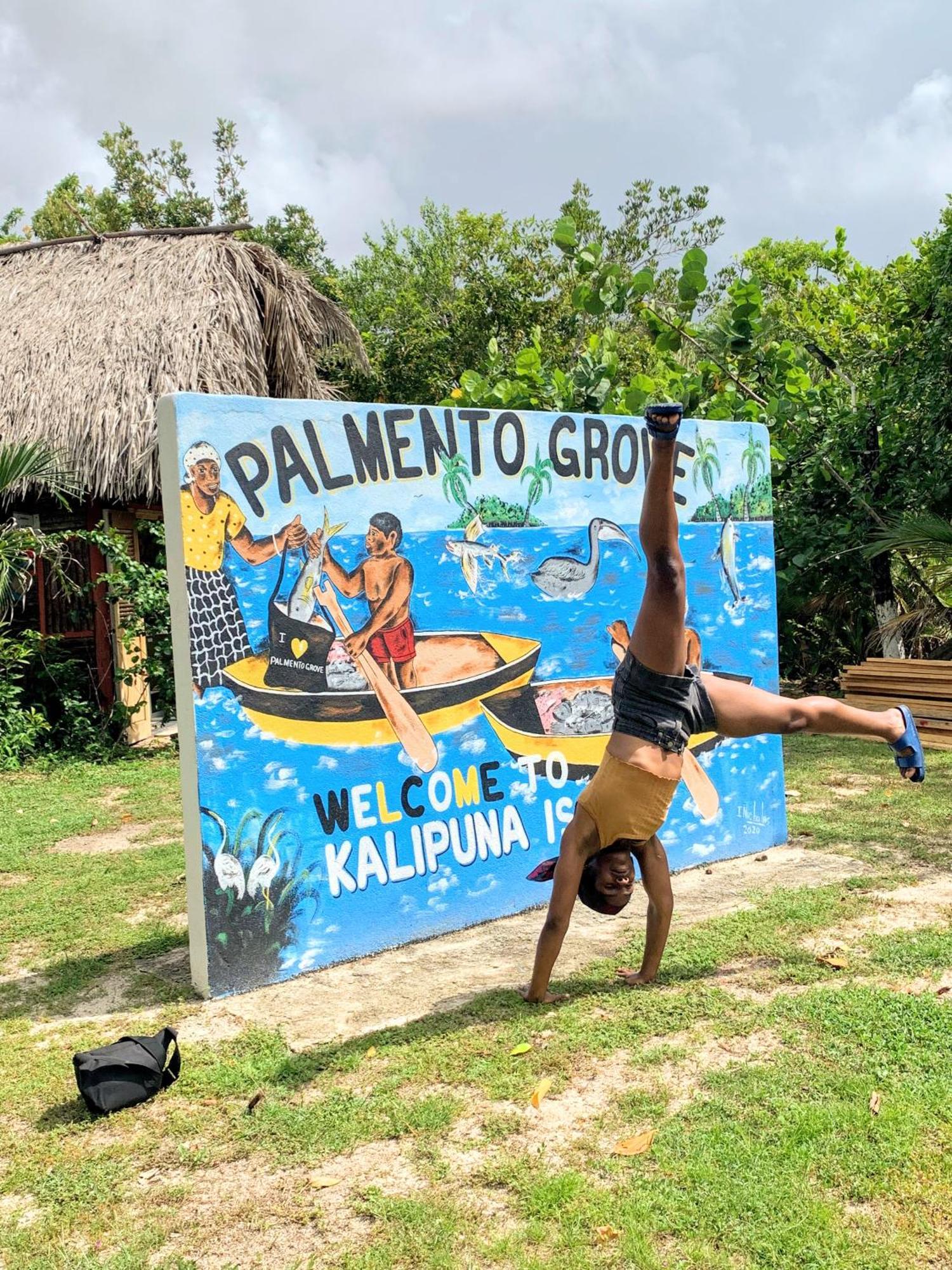 Palmento Grove Garifuna Eco-Cultural & Healing Institute Hopkins Extérieur photo