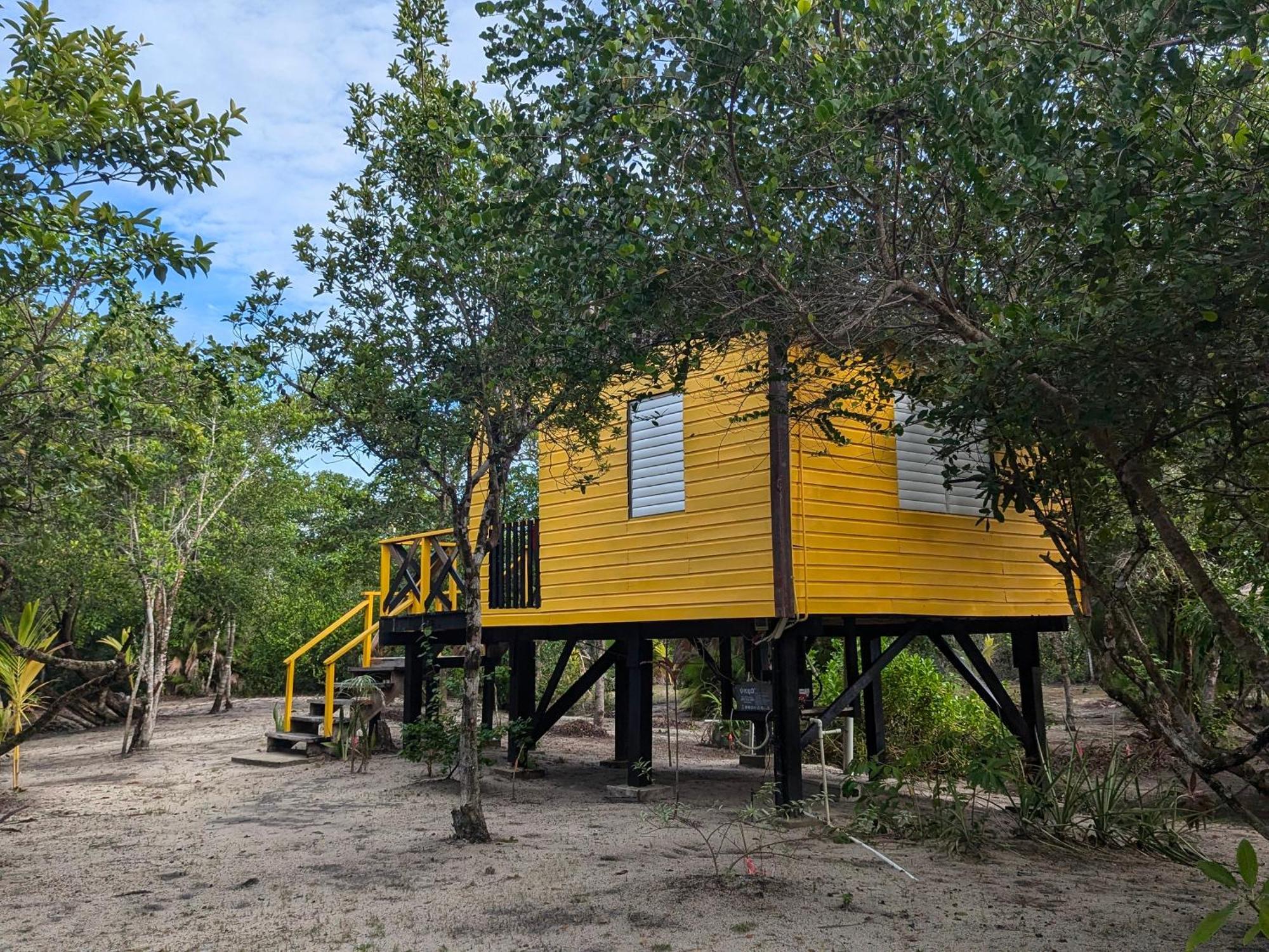 Palmento Grove Garifuna Eco-Cultural & Healing Institute Hopkins Extérieur photo