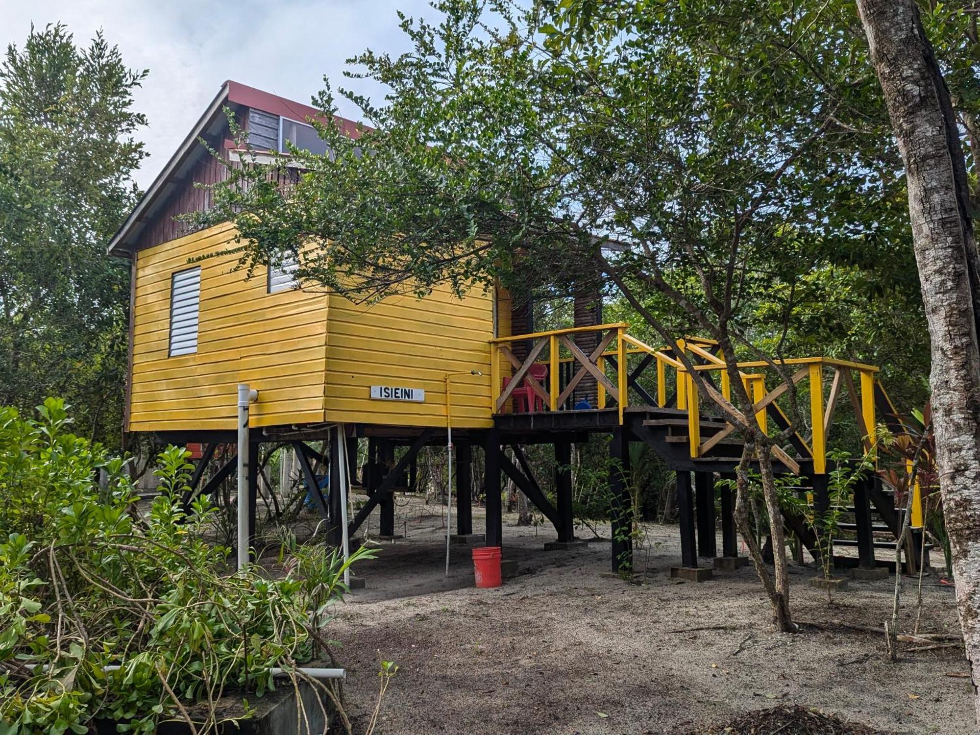 Palmento Grove Garifuna Eco-Cultural & Healing Institute Hopkins Extérieur photo