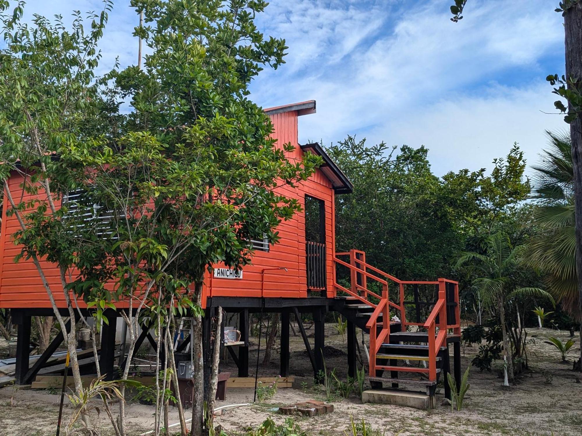Palmento Grove Garifuna Eco-Cultural & Healing Institute Hopkins Extérieur photo
