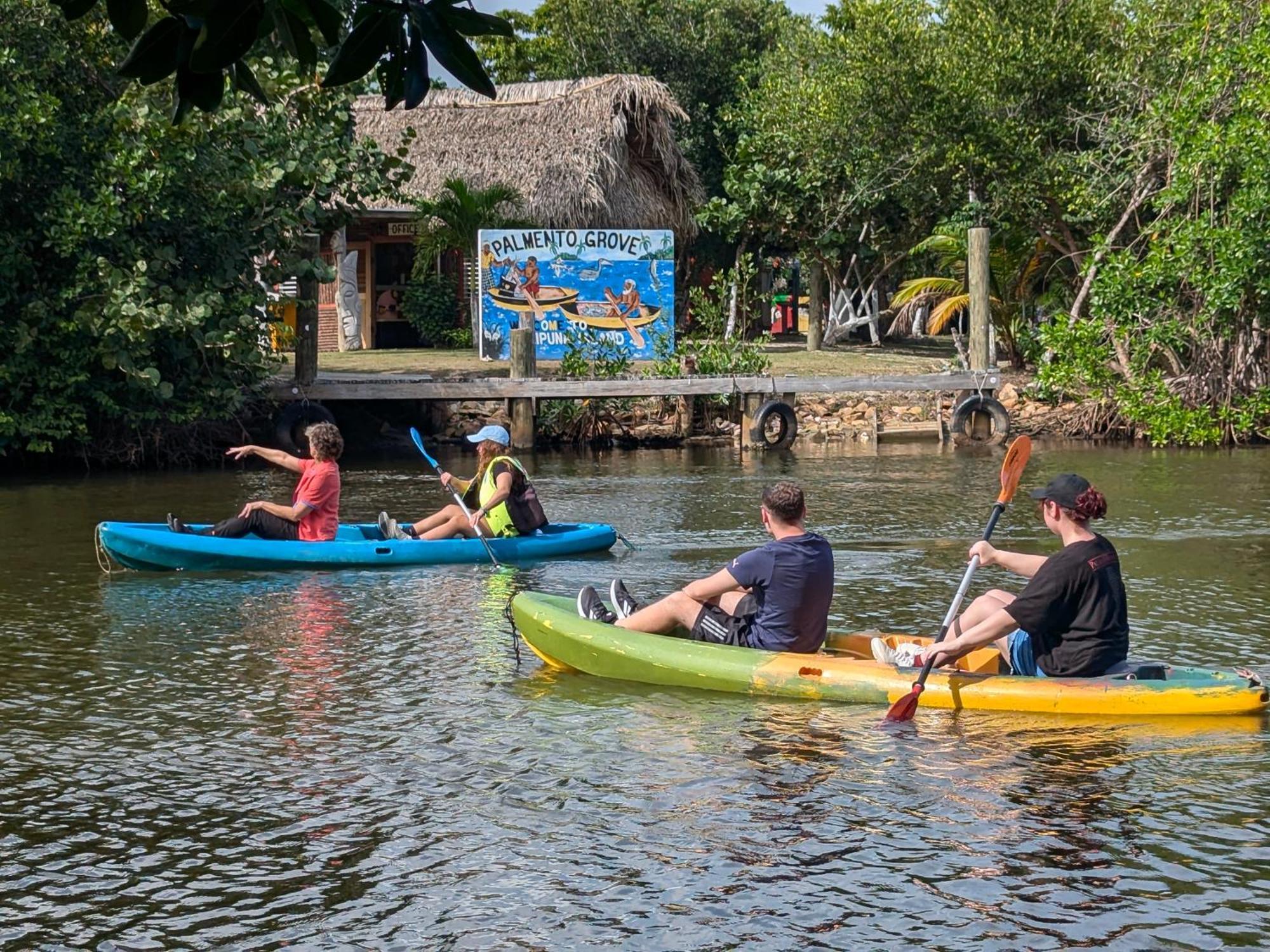 Palmento Grove Garifuna Eco-Cultural & Healing Institute Hopkins Extérieur photo