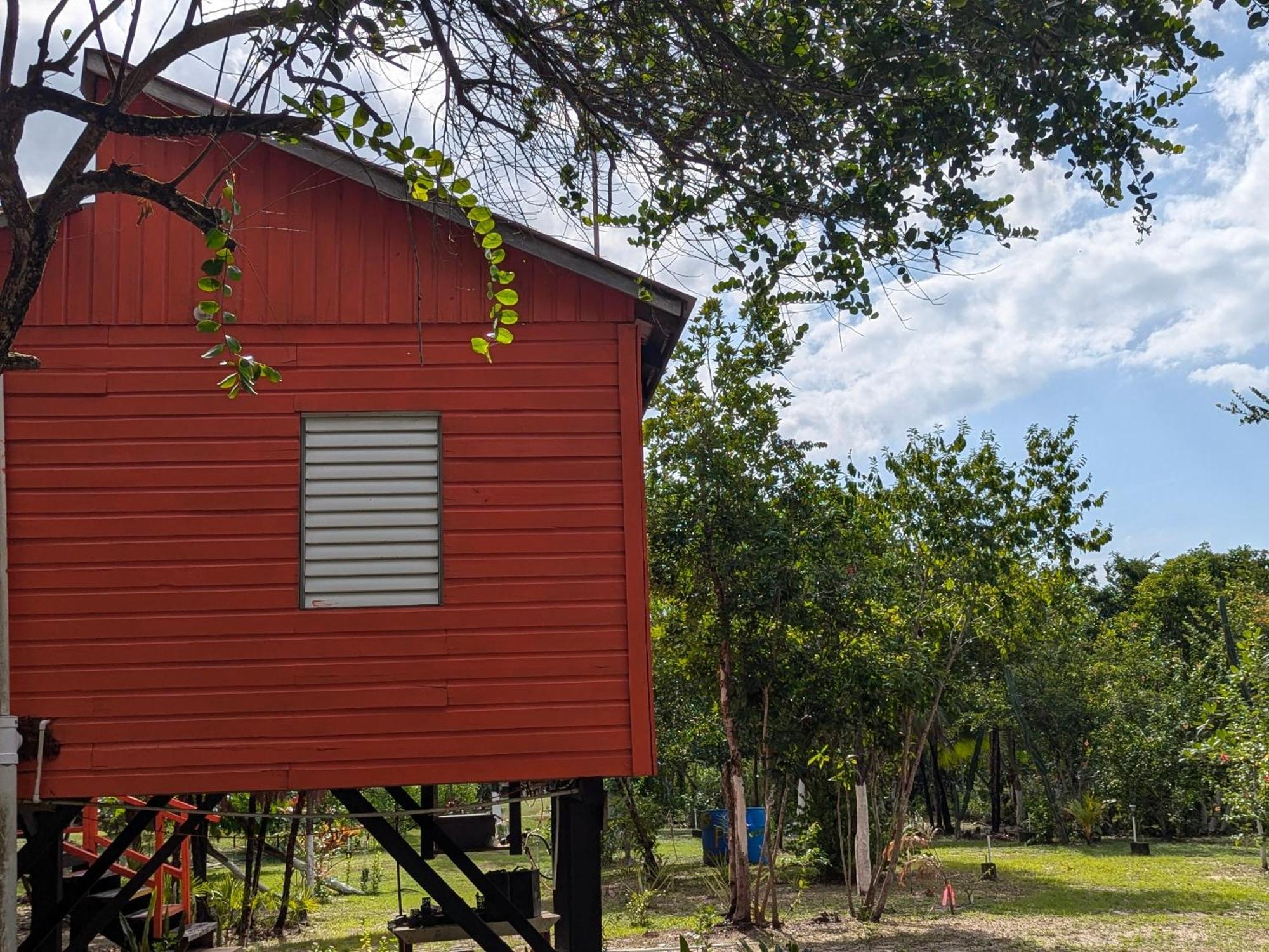 Palmento Grove Garifuna Eco-Cultural & Healing Institute Hopkins Extérieur photo