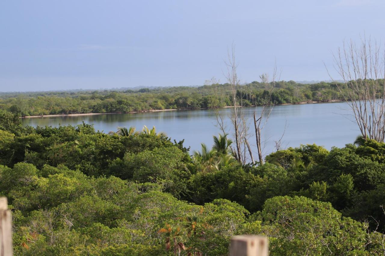 Palmento Grove Garifuna Eco-Cultural & Healing Institute Hopkins Extérieur photo