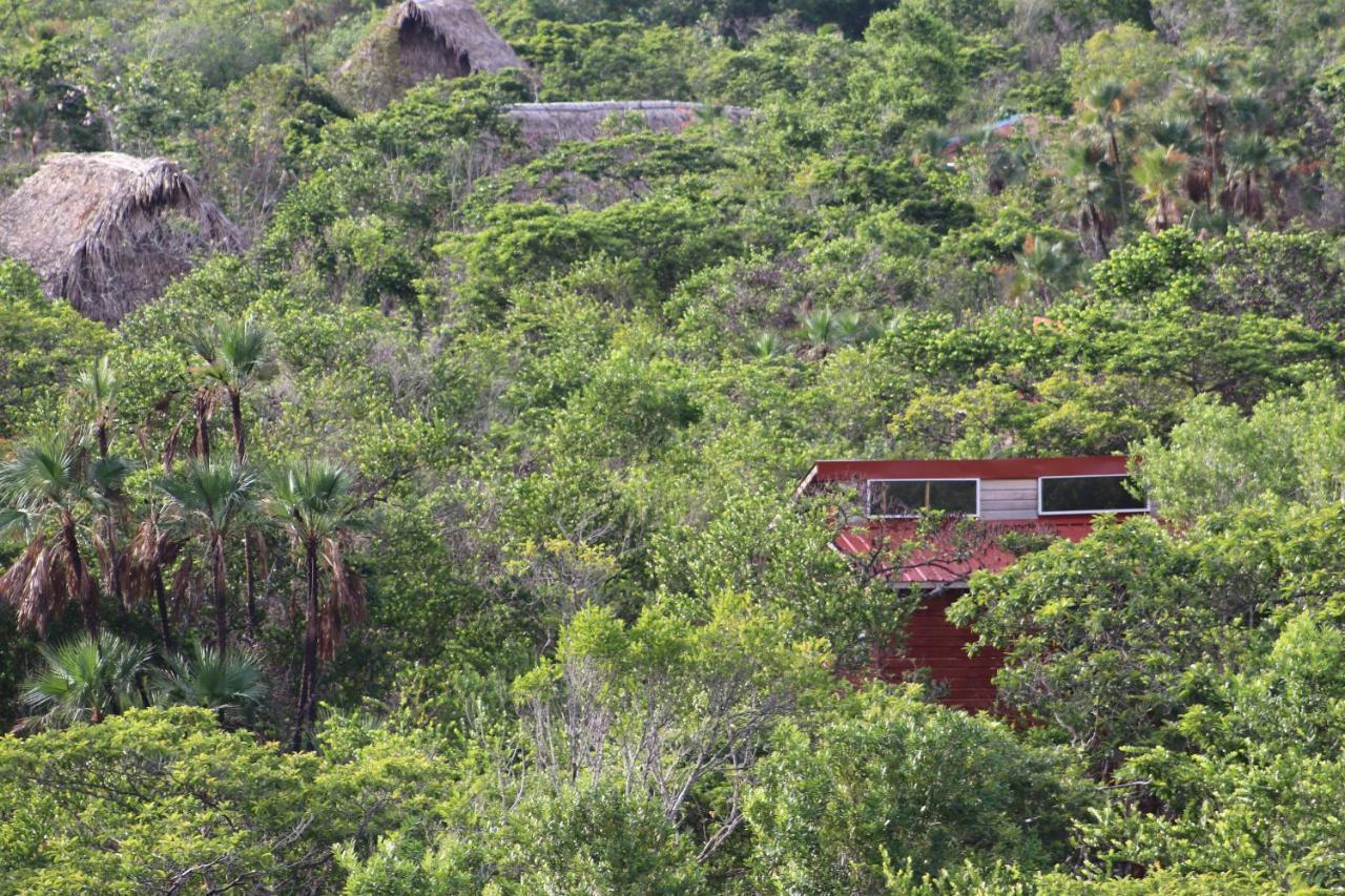 Palmento Grove Garifuna Eco-Cultural & Healing Institute Hopkins Extérieur photo