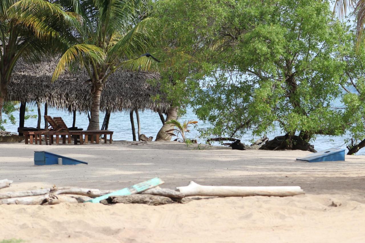 Palmento Grove Garifuna Eco-Cultural & Healing Institute Hopkins Extérieur photo