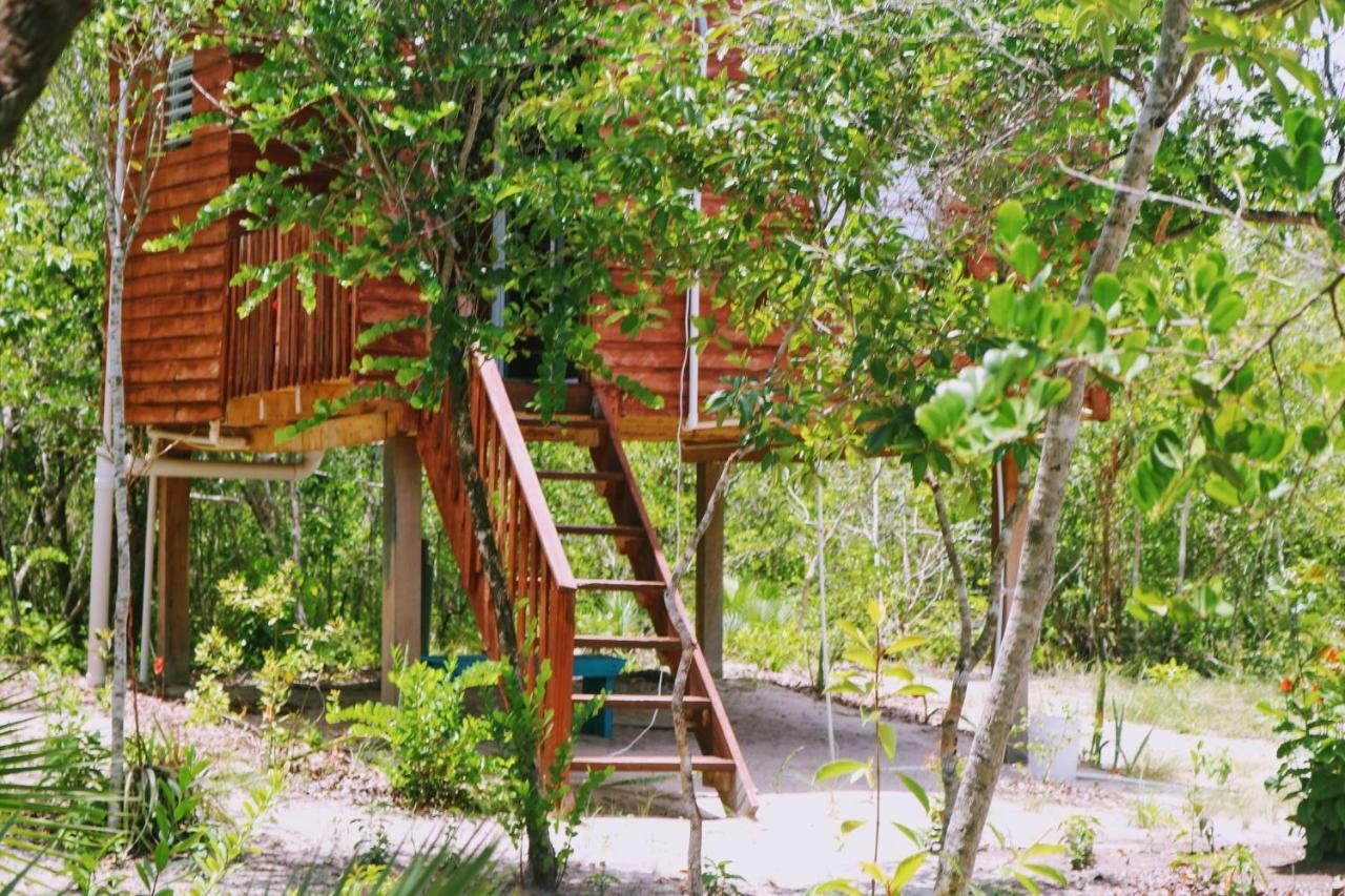Palmento Grove Garifuna Eco-Cultural & Healing Institute Hopkins Extérieur photo